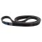 Serpentine Belt