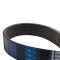 Serpentine Belt
