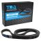 Serpentine Belt