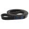 Serpentine Belt