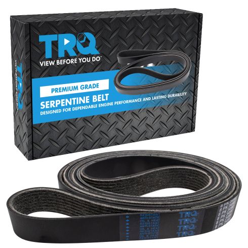 Serpentine Belt