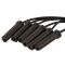 Ignition Wire Set