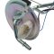 Fuel Pump & Sending Unit Assembly
