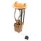 Fuel Pump & Sending Unit Assembly