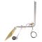 Fuel Tank & Sending Unit