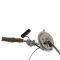 Fuel Tank & Sending Unit
