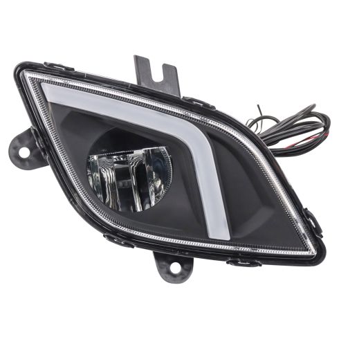Fog Light
