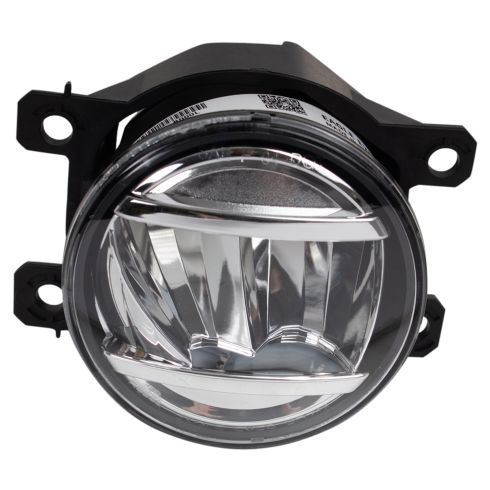 Fog Light