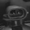 Fog Light Set