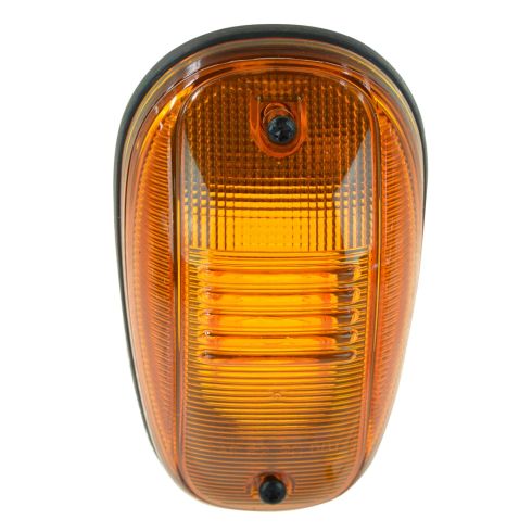 06 (from 7-11-05) Ram 1500, 2500, 3500 Std, Crew, Mega Cab Roof Running Light Lens w/Gasket (Mopar)