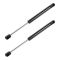 99-05 Jeep Grand Cherokee Ford Focus Lift Support PAIR