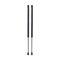98-04 Honda Isuzu Passport Amigo Rodeo Lift Supports PAIR