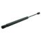01-07 Ford Explorer, Mercury Mountaineer Hood Lift Support PAIR