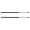 02-06 Chevy GMC Isuzu Envoy Trailblazer Ascender Trunk Lift Support PAIR