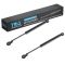 Trunk Lid Lift Support Set