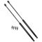 1998-03 Dodge Durango Rear Hatch Strut PAIR