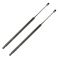01-04 Chrysler PT Cruiser; 05-08 PT Cruiser (exc Conv) Rear Hatch Lift Support PAIR