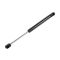 99-04 Jeep Grand Cherokee Hood, Hatch, & Liftglass Lift Support (Set of 6)