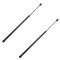 98-02 Pontiac Trans Am, Firebird Htp & Conv Hood Lift Support PAIR