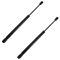 02-03 Acura TL Hood Lift Support PAIR