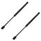 02-03 Acura TL Hood Lift Support PAIR