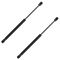 04-05 Acura TL Hood Lift Support PAIR