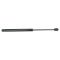 01-03 Acura CL; 99-01 Acura TL Hood Lift Support/Stay PAIR