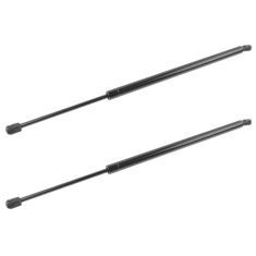 03-08 Honda Pilot Rear Liftgate Support Strut PAIR