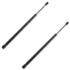 98-02 Honda Accord Hood Lift Support PAIR