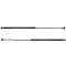 07-11 Toyota Camry Hood Lift Support Pair