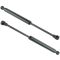 BMW 3 Series Hood Lift Support Pair