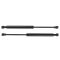BMW 3 Series Hood Lift Support Pair
