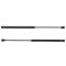 02-06 Mini Cooper Hatchback Hatch Lift Support Pair