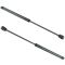 02-06 Mini Cooper Hatchback Hatch Lift Support Pair