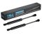 Trunk Lid Lift Support Set
