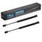 Trunk Lid Lift Support Set