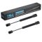 Trunk Lid Lift Support Set