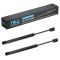 Trunk Lid Lift Support Set