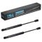 Trunk Lid Lift Support Set
