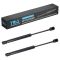 Trunk Lid Lift Support Set