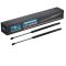 Liftgate Lift Support Set