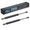 Trunk Lid Lift Support Set