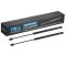 Trunk Lid Lift Support Set