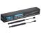 Trunk Lid Lift Support Set
