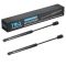Trunk Lid Lift Support Set