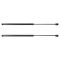 Lift Support Set