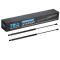 Trunk Lid Lift Support Set