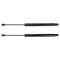Liftgate Lift Support Set
