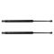 Liftgate Lift Support Set