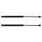 Liftgate Lift Support Set